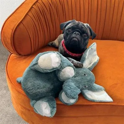 Kong Comfort Kiddos Jumbo Elephant - Vahva koiran pehmolelu vinkuvalla äänellä
