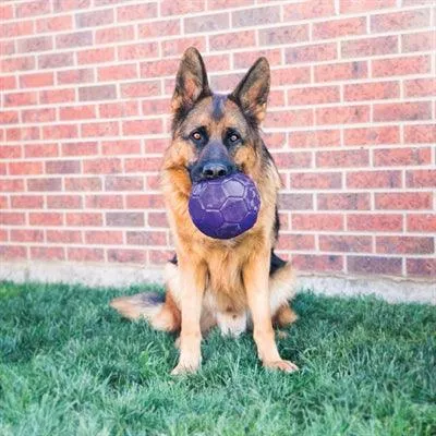Kong Flexball Purple - Pomppii arvaamattomasti tuntikausia hauskanpitoa varten