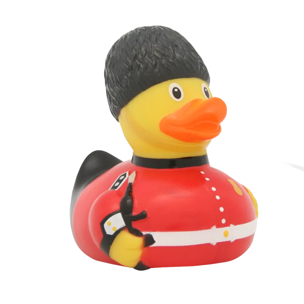 Kuninkaallinen kaarti ankka
