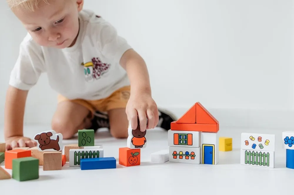 Miffy Block Set