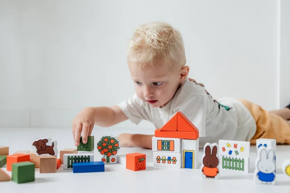Miffy Block Set