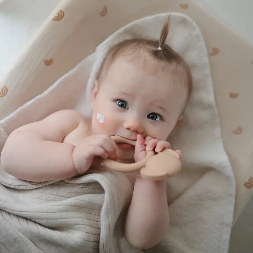 Mushie hammastava rengas Koira Luonnollinen