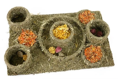 Naturals Ruusupuu Naturals Hide N Treat -sokkelo