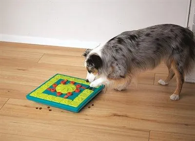 Nina Ottosson Multipuzzle Blu - äärimmäinen koiran lelupulmapeli - edistyneelle tasolle