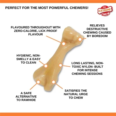 Nylabone Power Chew Hard Biters -kana-annos - isommille koirille