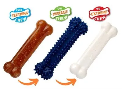 Nylabone Puppy Chew Puppy Starter Kit -pureskelupakkaus, kanaa, 3 osaa, pennuille ja pienille koirille