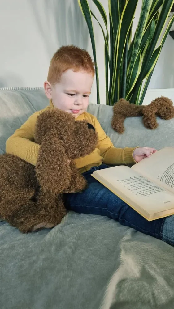 Onnellinen hevonen halailee labradorinnoutajaa Larry 28cm