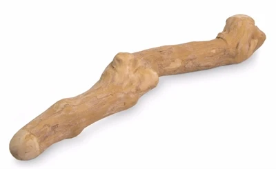 Pupun luonto Kahvipuu
