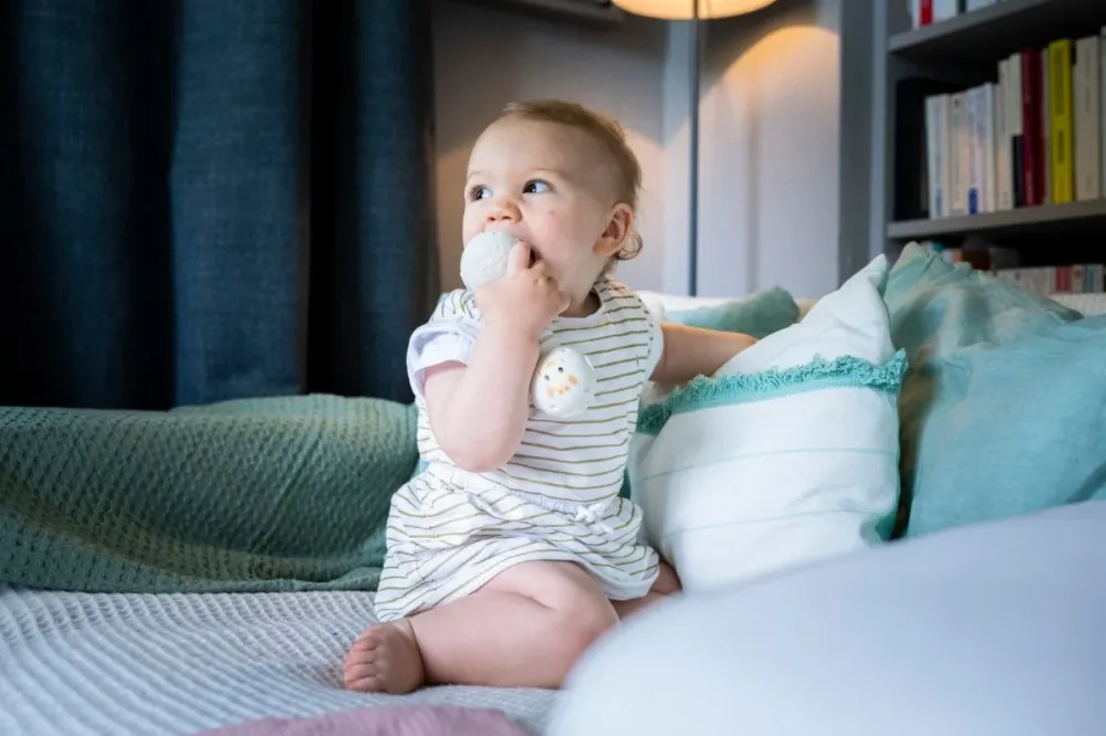 Sophie kirahvi Rattle Bite Rattle Bite
