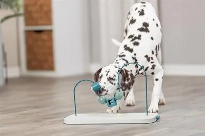 Trixie Dog Activity Skills Loop - interaktiivinen peli keskikokoisille ja suurille koirille