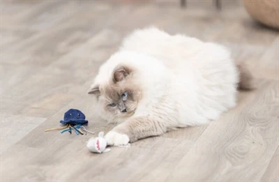 Trixie Merieläinpehmolelu kissanmintulla, sekalainen valikoima