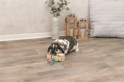 Trixie välipalakuutio puuta