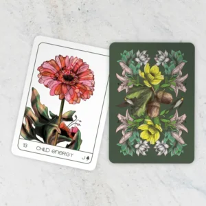 Terra Lenormand 2nd Edition - Bouchette Design