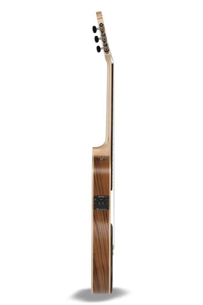 Manuel Rodriguez ECOLOGÍ Series Samba Electro-Acoustic - E-Acoustic Samba Plano (Cutaway, truss rod)