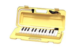 Piano melodica P25F 02