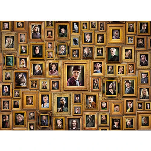 HP & Chamber Secrets Impossible Puzzle (1000 pcs)