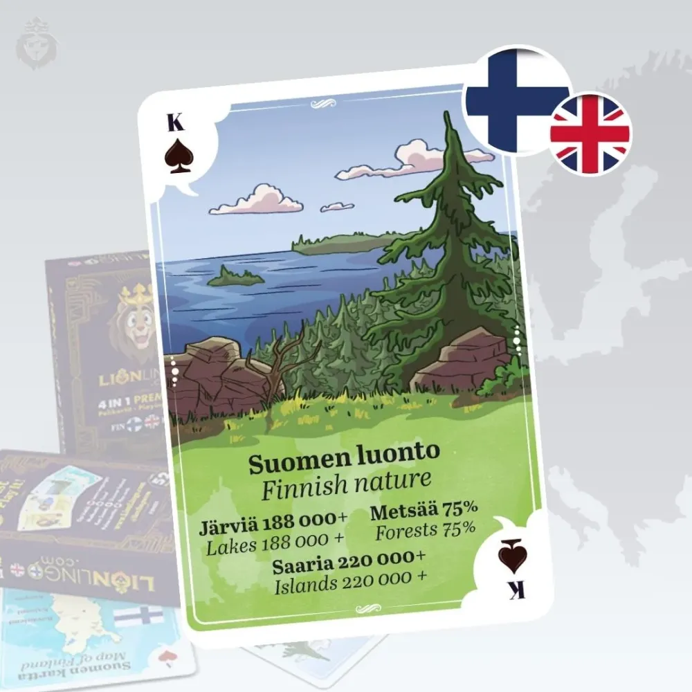LionLingo - Finland English 4in1 korttipakka