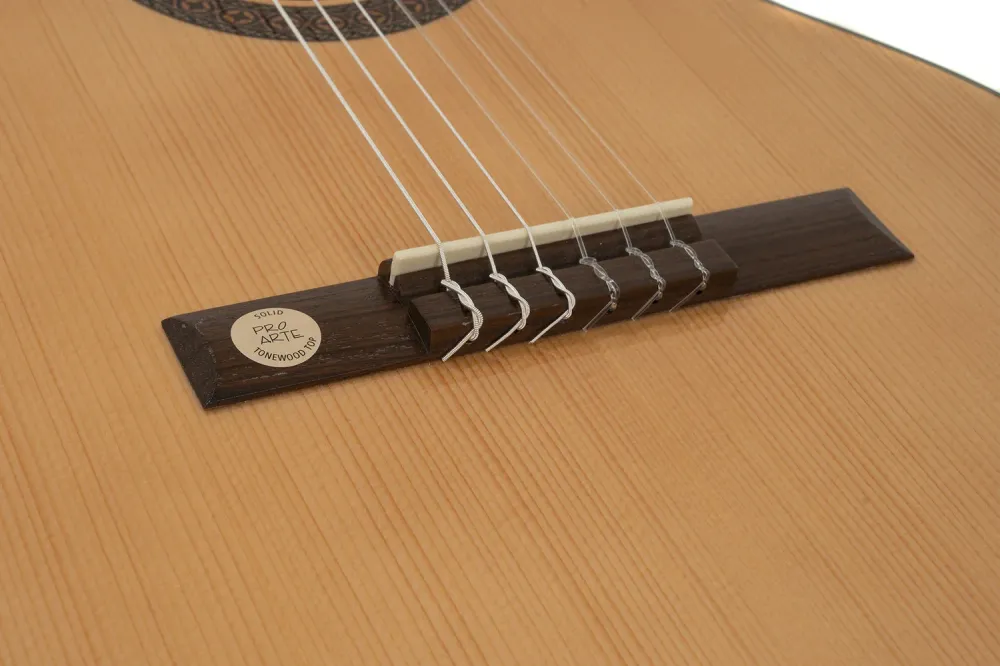 GEWA Classical guitar Pro Arte GC 100 - 7/8 size