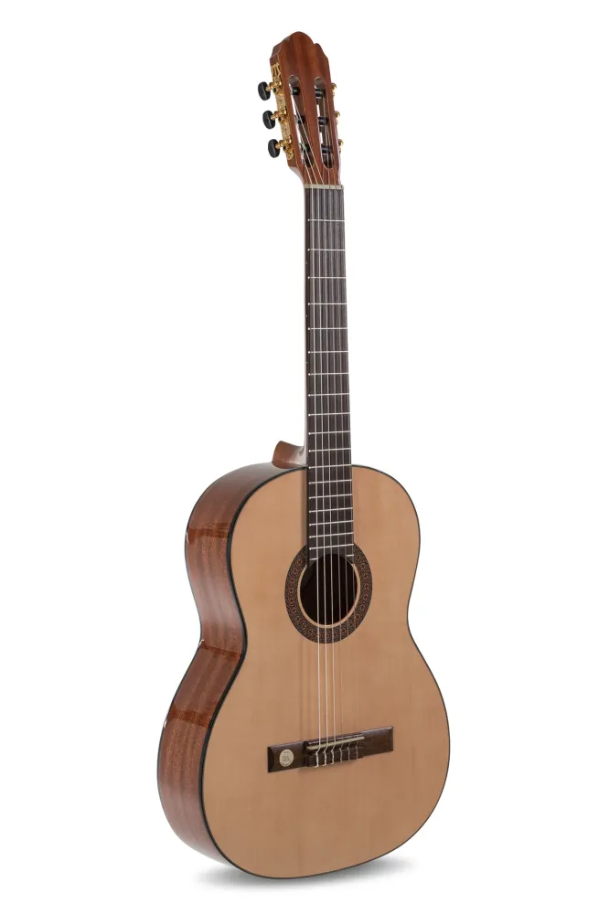 GEWA Classical guitar Pro Arte GC 210 - 4/4 size