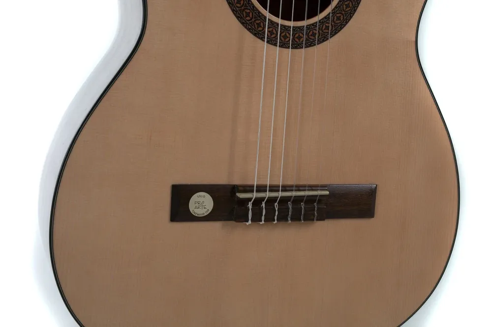GEWA Classical guitar Pro Arte GC 210 - 4/4 size