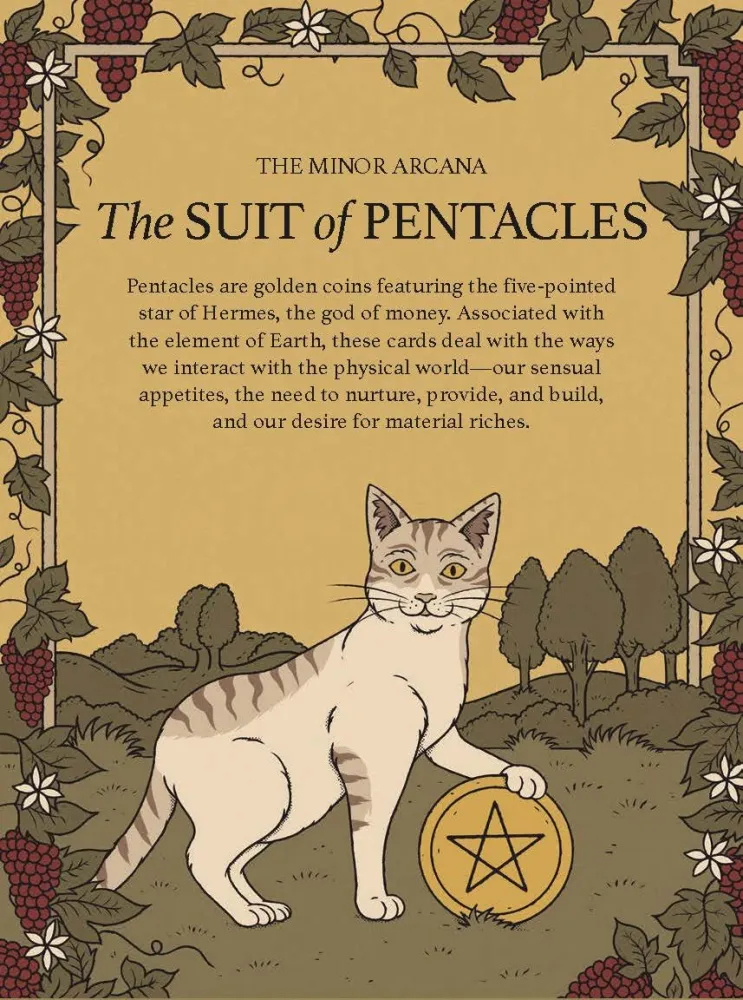 Cats Rule Earth Tarot : 78-Card Deck and Guidebook Feline-Obsessed - Catherine Davidson