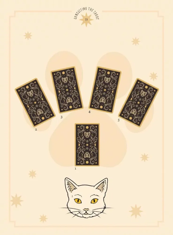Cats Rule Earth Tarot : 78-Card Deck and Guidebook Feline-Obsessed - Catherine Davidson