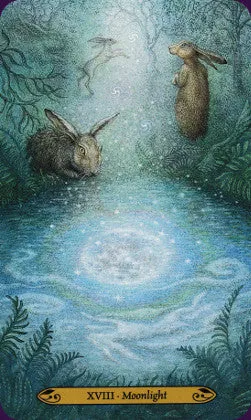 Forest Enchantment Tarot - Lunaea Weatherstone