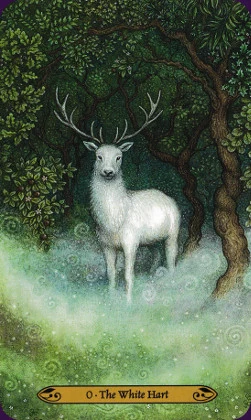 Forest Enchantment Tarot - Lunaea Weatherstone
