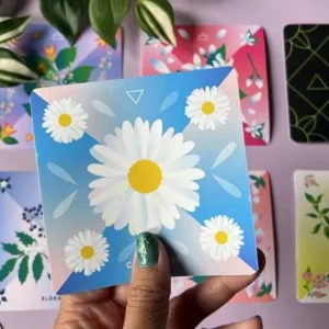 Mystic Mondays Healing Herbology Oracle Deck - Grace Duong (kickstarter, indie, import)