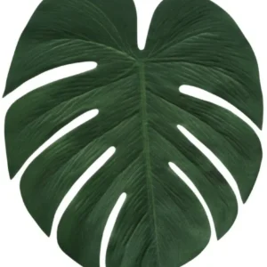Havaiji koristelu Palm Leaf 34cm 4kpl 4kpl