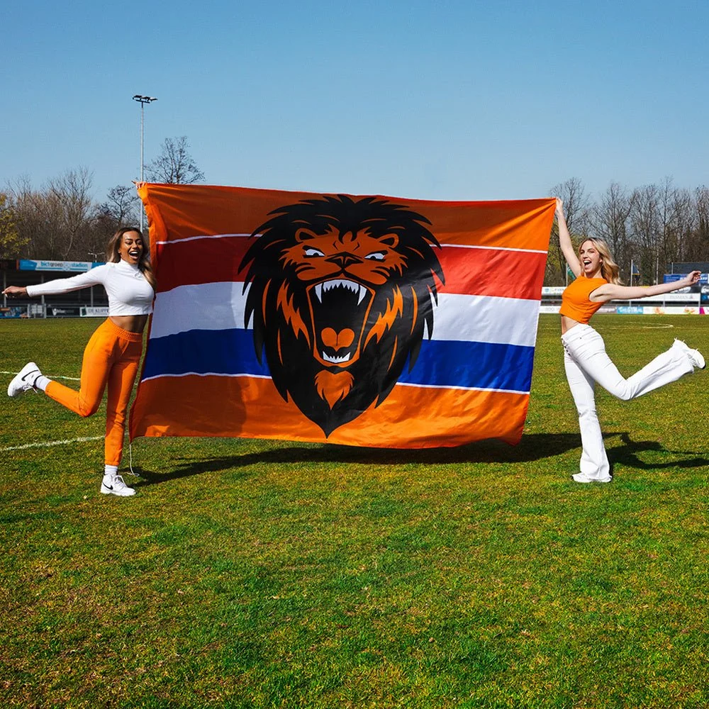 Julkisivulippu Roaring Lion Xxl 3m 3m