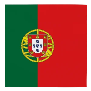 Portugali lautasliinat 33cm 20kpl