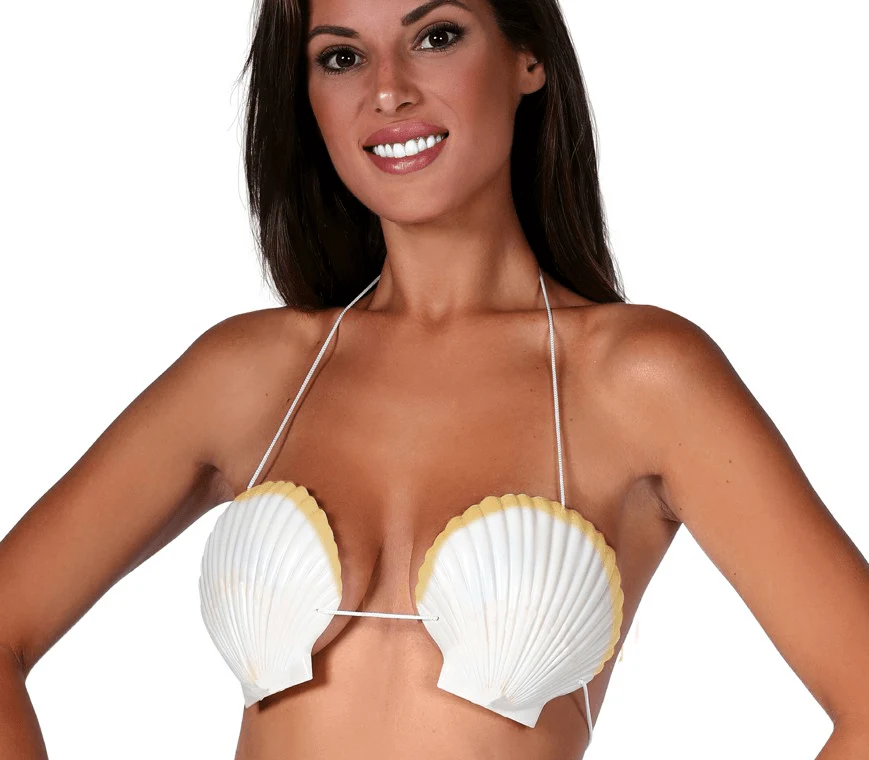 Seashell rintaliivit