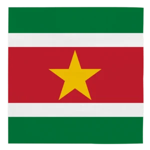 Suriname lautasliinat 33cm 20kpl