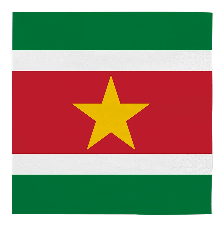 Suriname lautasliinat 33cm 20kpl